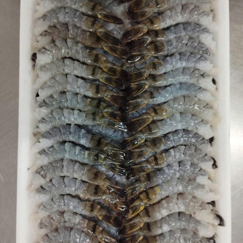 Tôm sú nõn tươi chừa đuôi